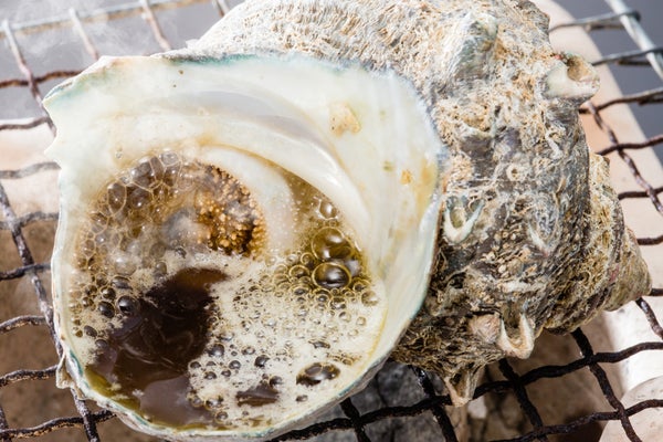 【佐賀・神埼・目達原・中原・鳥栖発】 アルコールを含む飲み放題付き!夏のシーフードカーニバルと夏井ケ浜・宮地嶽神社風鈴まつり 日帰り2
